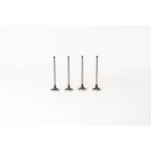826132 Outlet valve