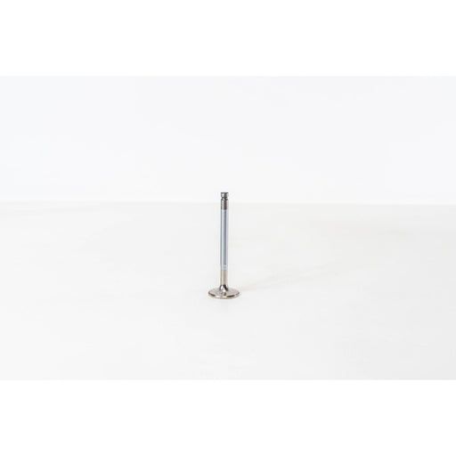 826188 Outlet valve