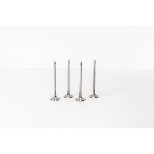 826198 Inlet Valve