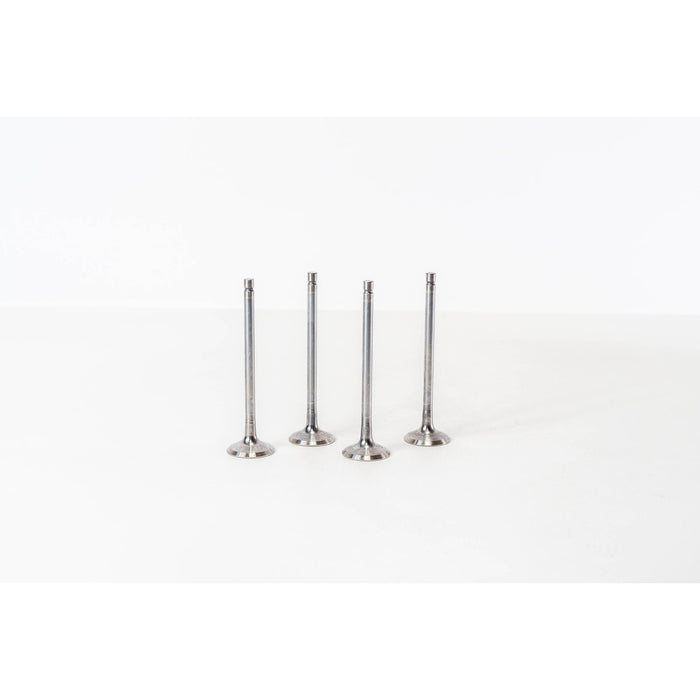 826198 Inlet Valve
