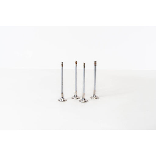 826200 Outlet valve