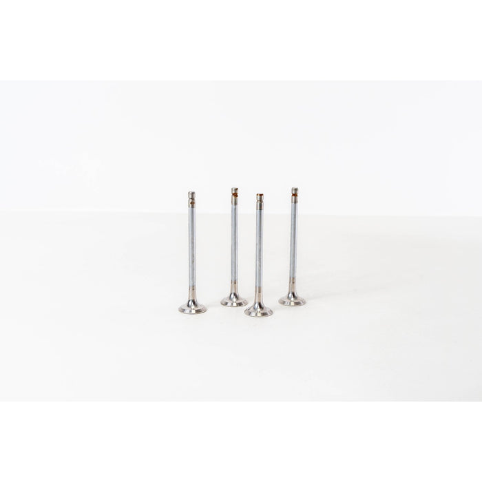 826200 Outlet valve