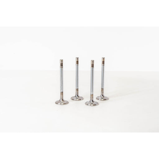 826202 Inlet Valve