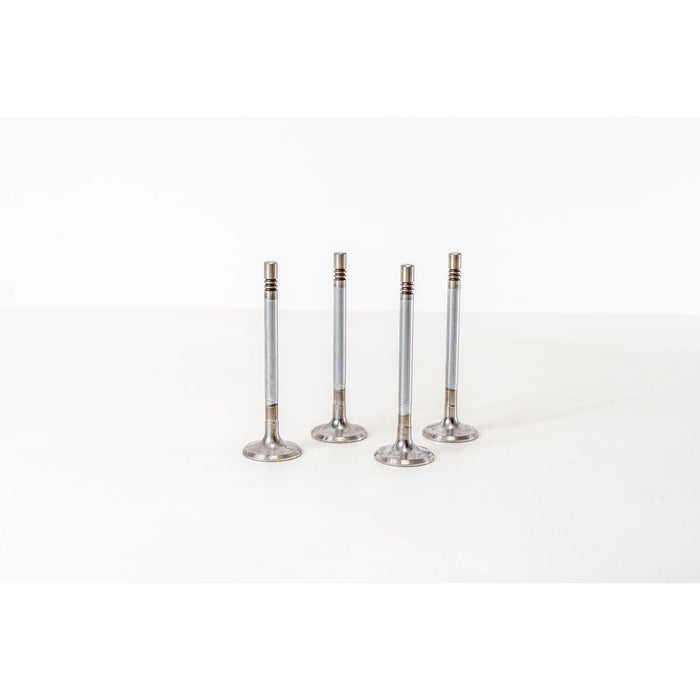 826202 Inlet Valve