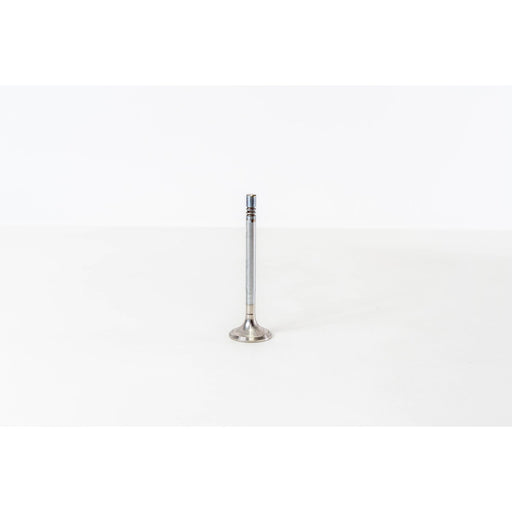 826204 Outlet valve