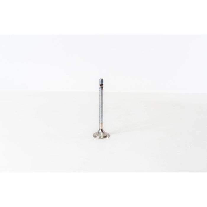 826204 Outlet valve