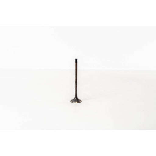 826225 Outlet valve