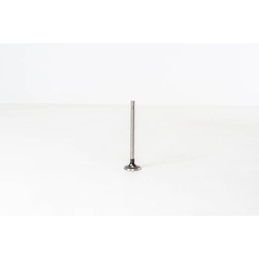 826228 Outlet valve