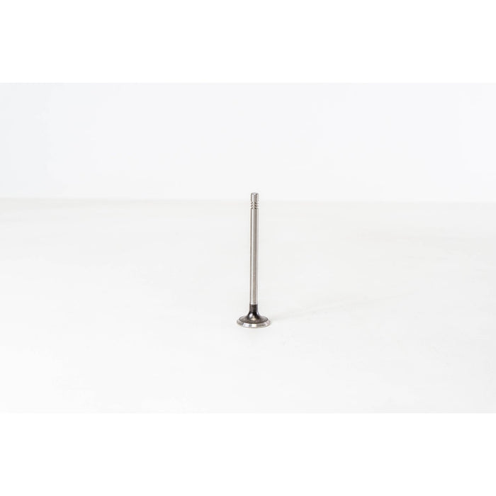 826228 Outlet valve