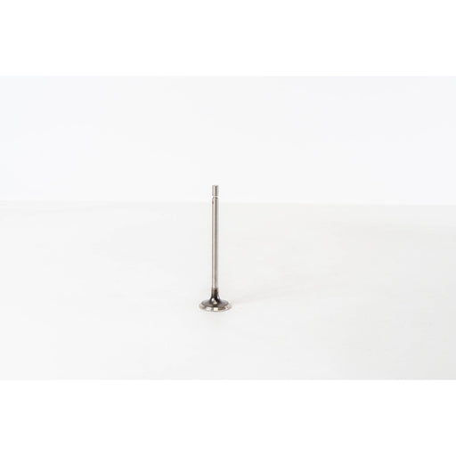 826248 Outlet valve