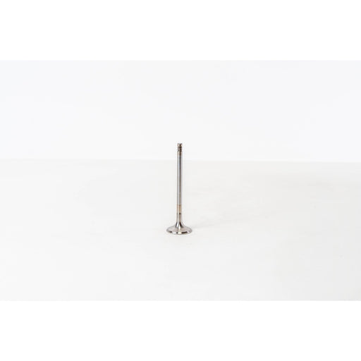 826256 Outlet valve
