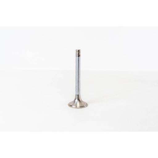826262 Outlet valve
