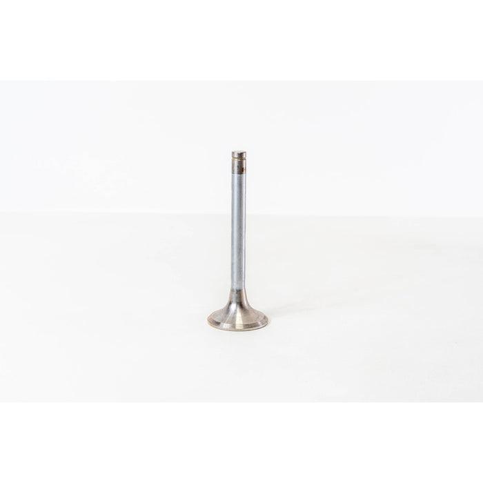826262 Outlet valve