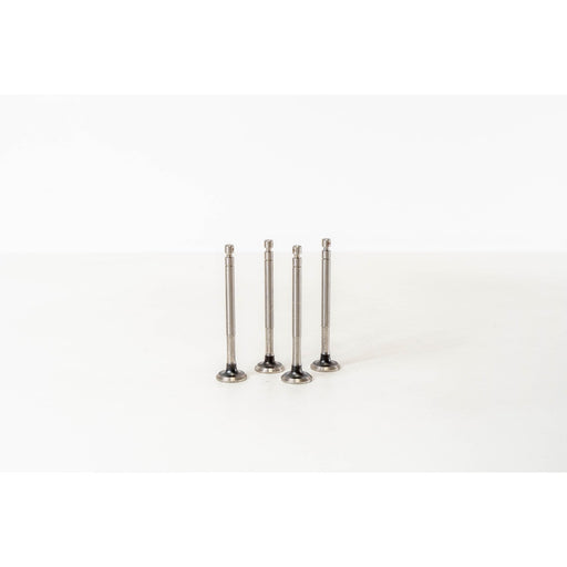 826278 Outlet valve