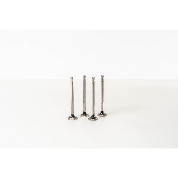 826278 Outlet valve
