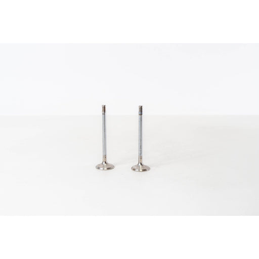 826282 Inlet Valve
