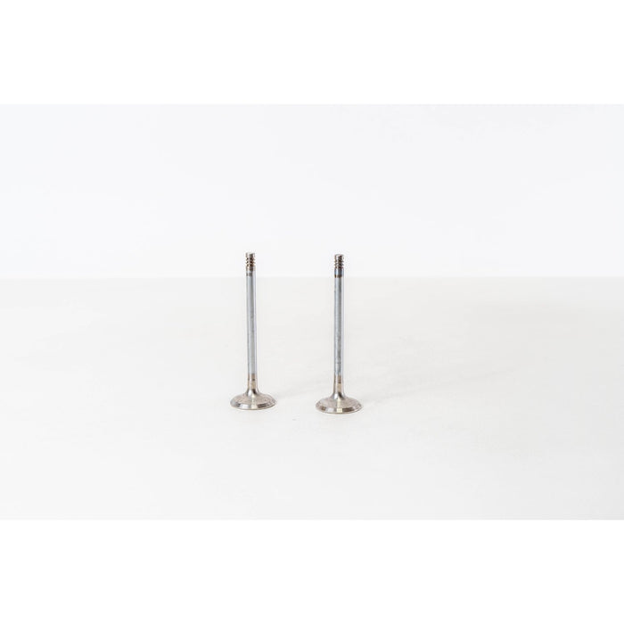 826282 Inlet Valve
