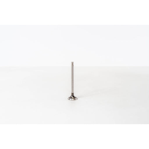 826284 Outlet valve