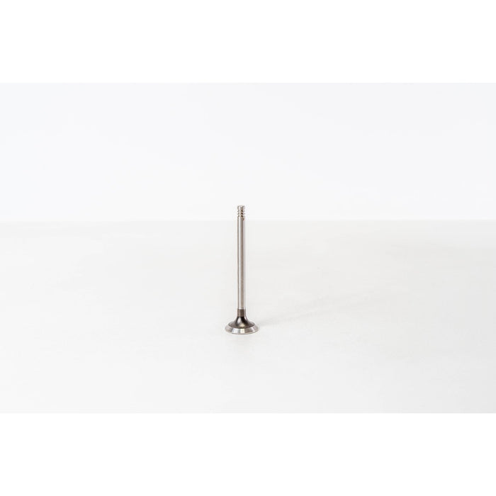 826284 Outlet valve