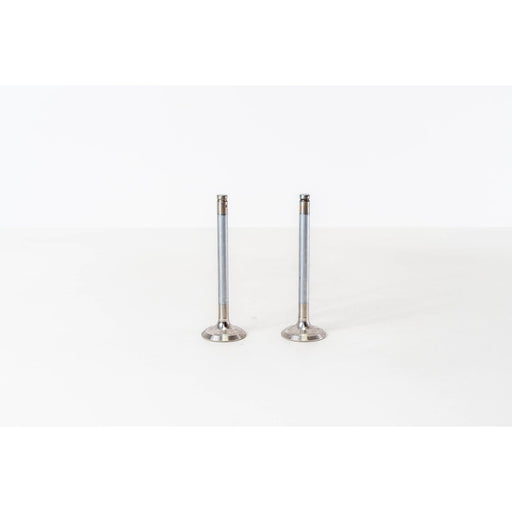 826286 Outlet valve