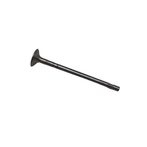 826390 Outlet valve