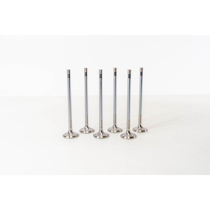 826410 Outlet valve