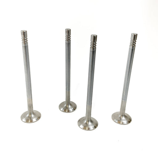 826490 Outlet valve