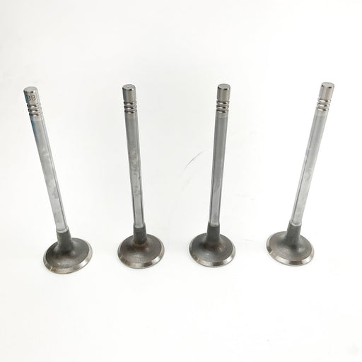 826495 Inlet Valve