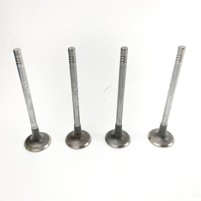 826495 Inlet Valve