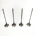 826495 Inlet Valve