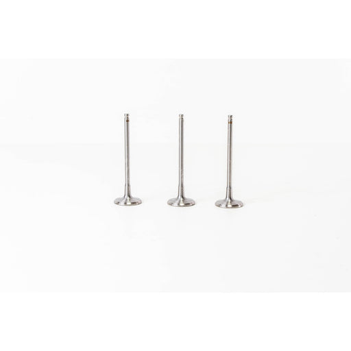 826500 Inlet Valve