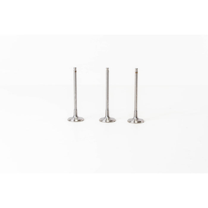 826500 Inlet Valve