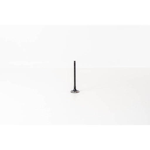826510 Outlet valve