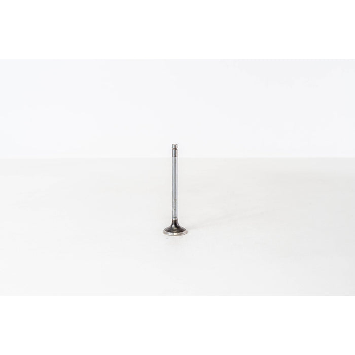 826680 Inlet Valve