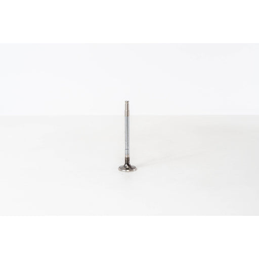826890 Outlet valve