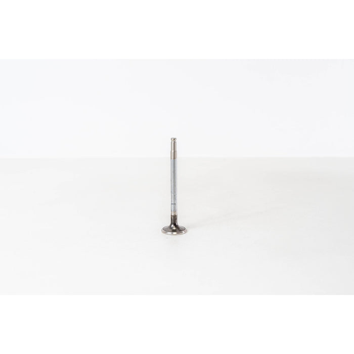 826890 Outlet valve