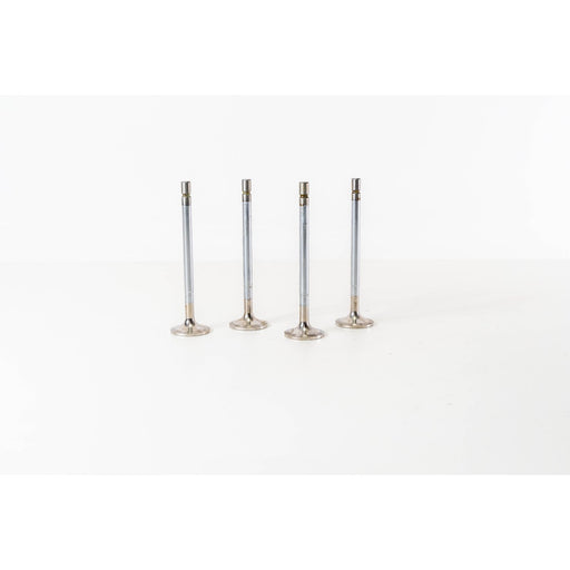 826900 Inlet Valve
