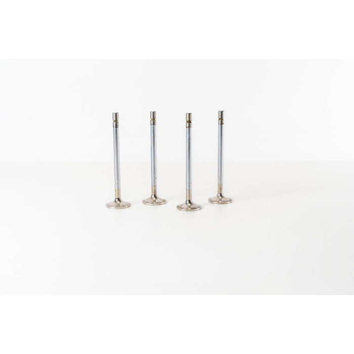 826900 Inlet Valve