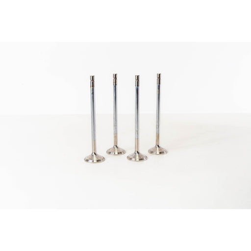 826910 Outlet valve