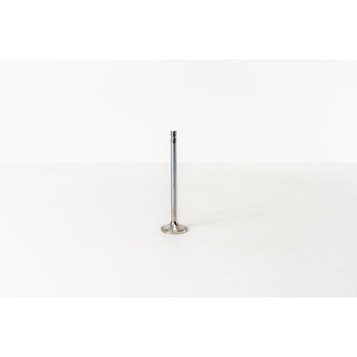 826940 Inlet Valve