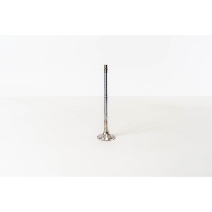 826950 Outlet valve