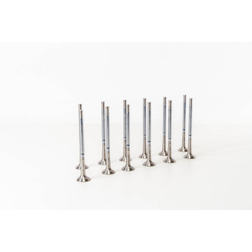 826980 Outlet valve