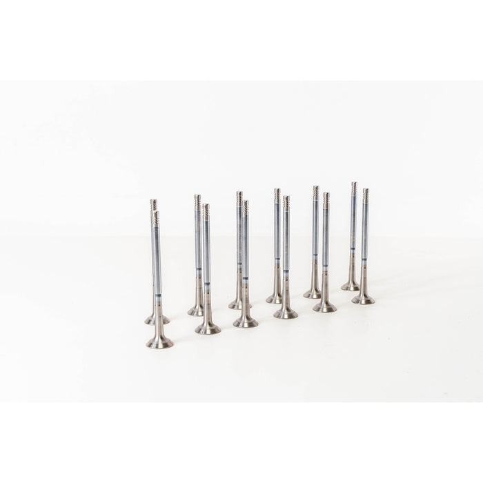 826980 Outlet valve