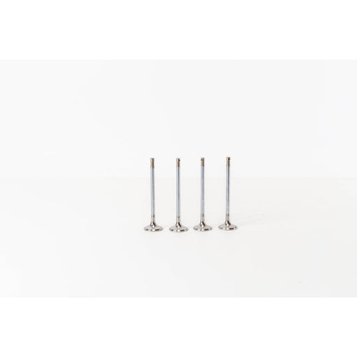 826990 Outlet valve