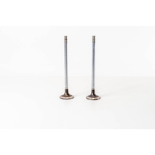 827000 Inlet Valve