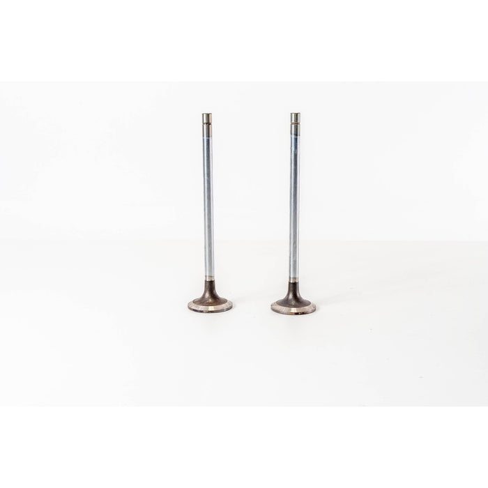 827000 Inlet Valve