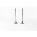 827000 Inlet Valve