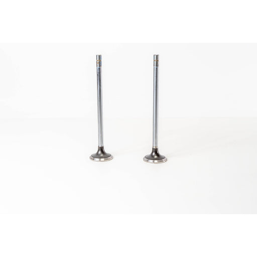 827010 Outlet valve