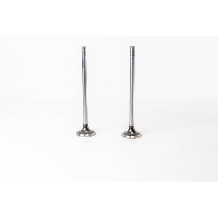 827010 Outlet valve