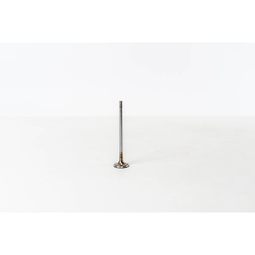 827040 Inlet Valve